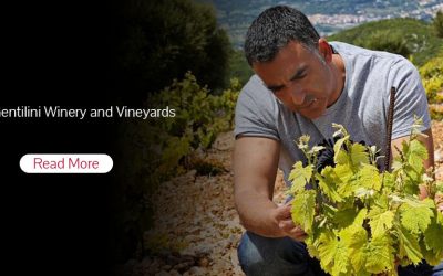 Meet Gentilini Winery and Vineyards