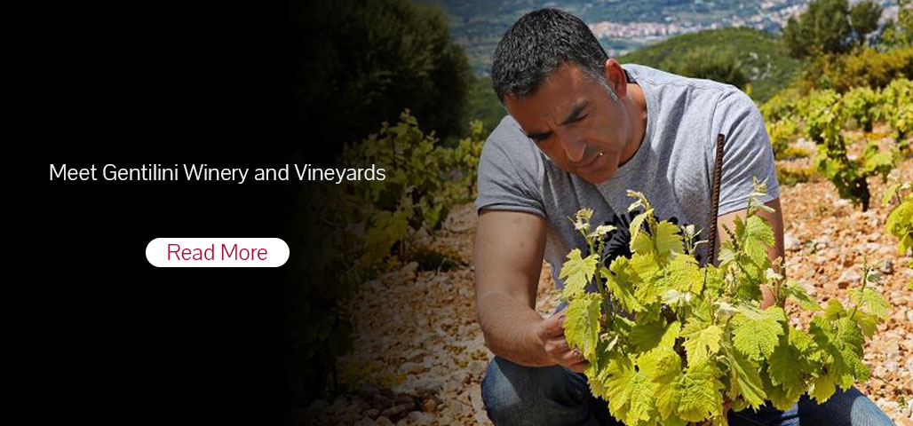 Meet Gentilini Winery and Vineyards